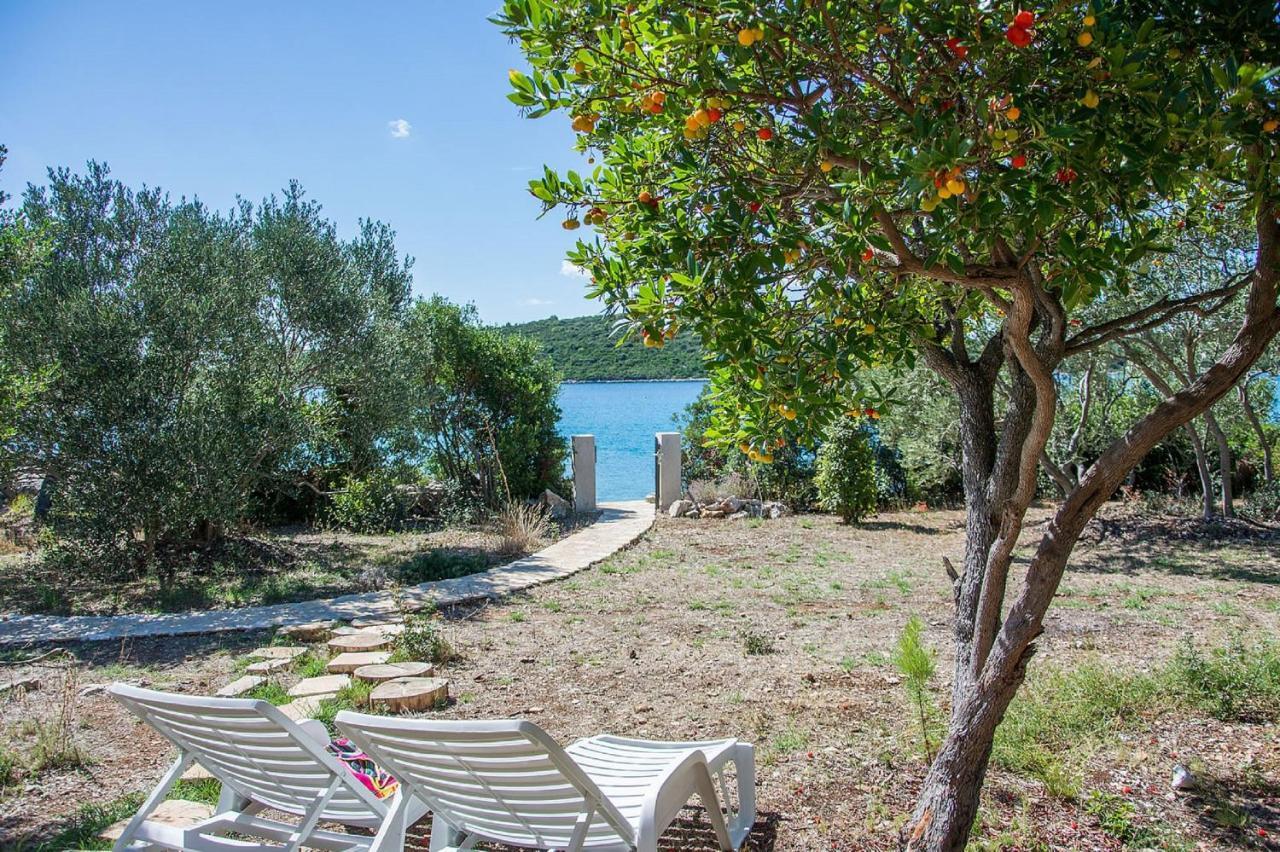 House Divna Villa Kraj  Dış mekan fotoğraf